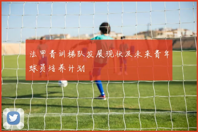 法甲青训梯队发展现状及未来青年球员培养计划