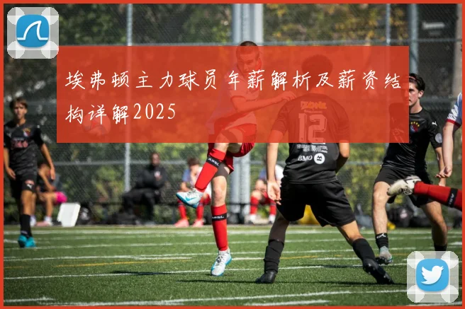 埃弗顿主力球员年薪解析及薪资结构详解2025