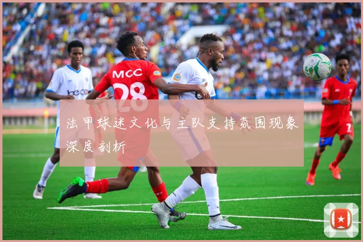 法甲球迷文化与主队支持氛围现象深度剖析
