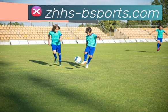 B体育Bsports平台生态图